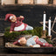 Thor Klarborg Tomte 