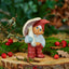 Vincent Klarborg Tomte 