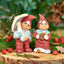 Vincent Klarborg Tomte 