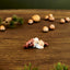 Adam Klarborg Tomte 