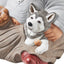 Marley Klarborg Tomte 